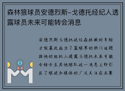 森林狼球员安德烈斯-戈德托经纪人透露球员未来可能转会消息