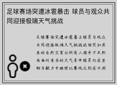 足球赛场突遭冰雹暴击 球员与观众共同迎接极端天气挑战