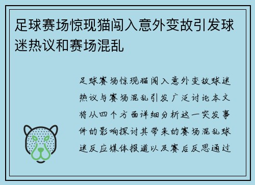 足球赛场惊现猫闯入意外变故引发球迷热议和赛场混乱