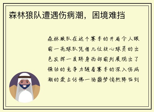 森林狼队遭遇伤病潮,困境难挡