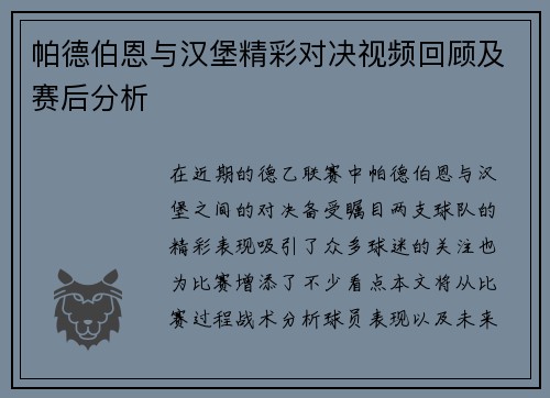 帕德伯恩与汉堡精彩对决视频回顾及赛后分析